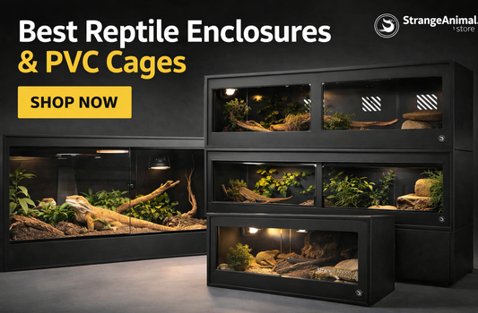 Best Reptile Enclosures & PVC Cages for Professional & Home Keepers