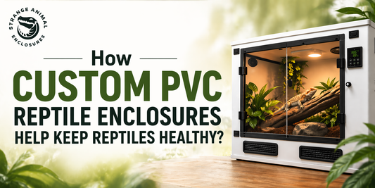 How Custom PVC Reptile Enclosures Help Keep Reptiles Healthy?