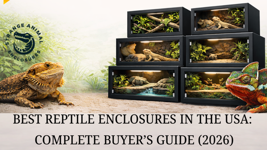 Best Reptile Enclosures in the USA: Complete Buyer’s Guide (2026)