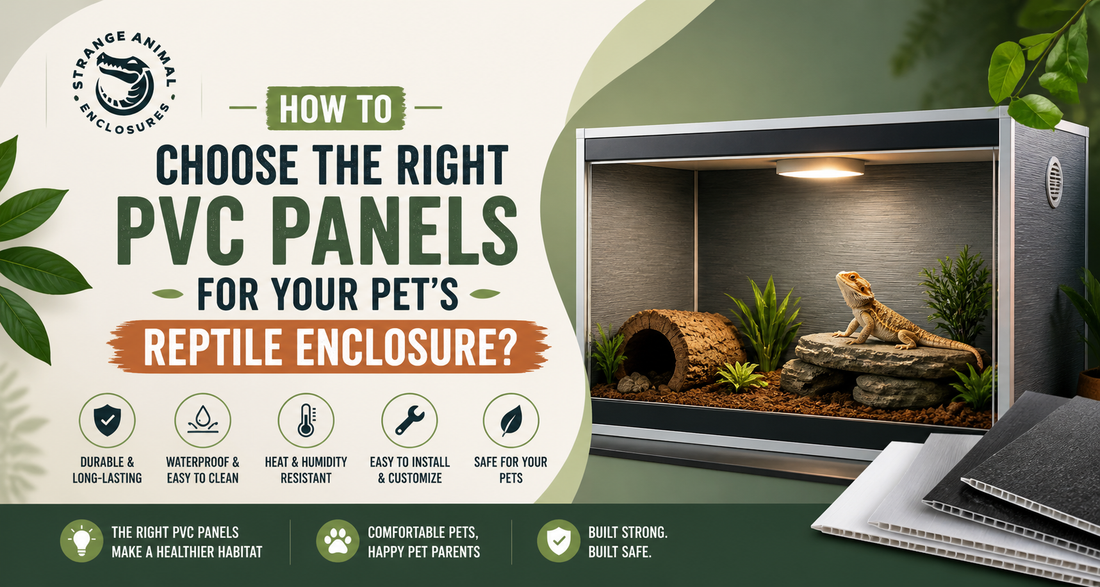 How to Choose the Right PVC Panels for Your Pet's Reptile Enclosure?
